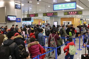 春节长假上海口岸近87万人次出入境